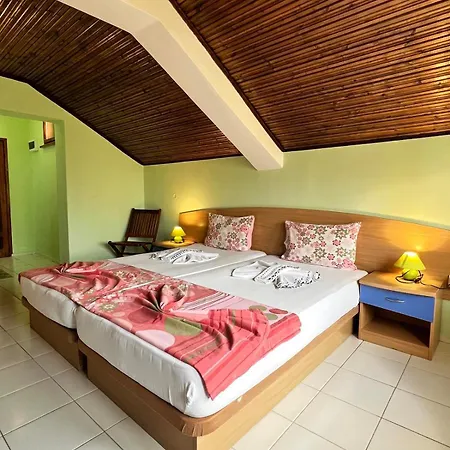 Homestay Paradise *