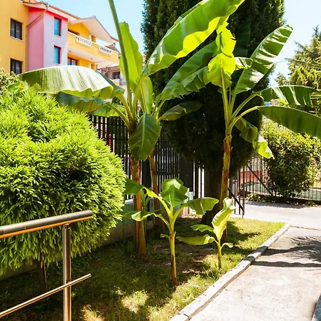 Séjour chez l'habitant Paradise